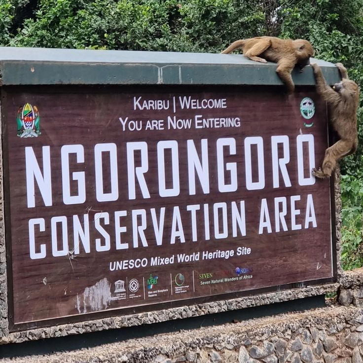 2-Day Ngorongoro & Lake Manyara Safari